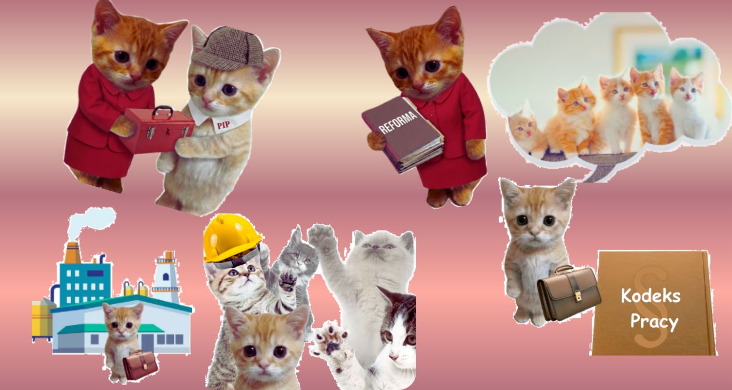 Kocia kampania ministerstwa. Ustawa o PIP wyjaśniona w memach