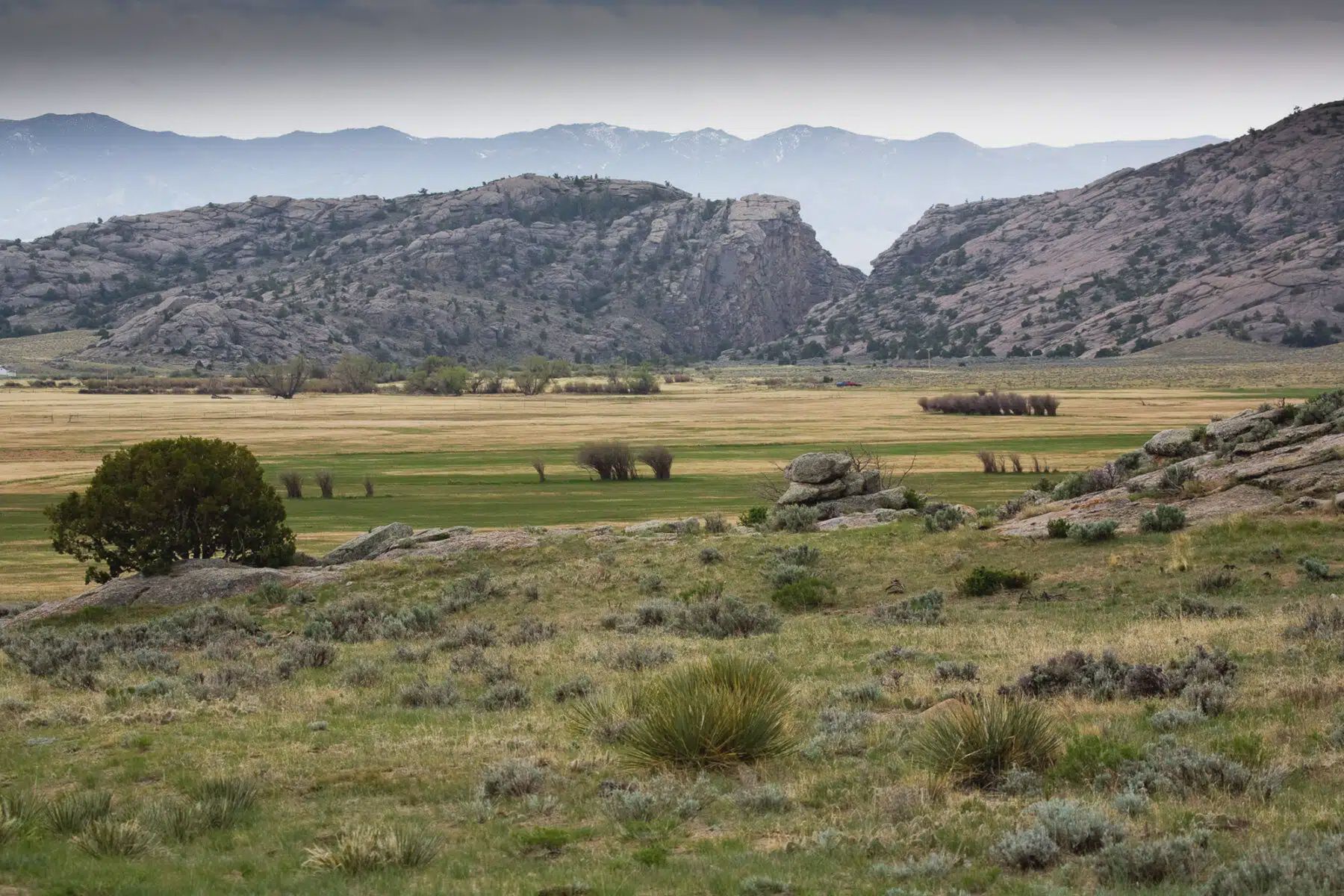 To on kupił gigantyczne ranczo w Wyoming. W tle plotki o Zełenskim