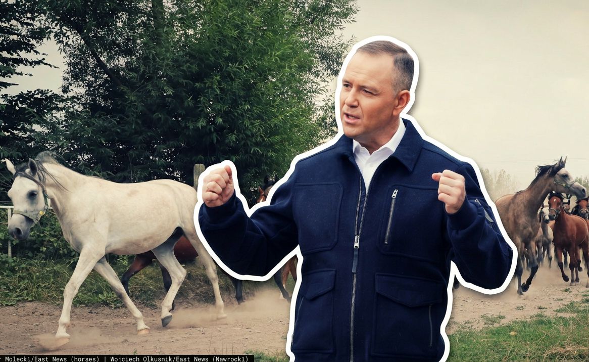 Karol Nawrocki na koniu? Sąsiedzi prezydenckiej stajni zaskoczeni. "Chciałabym zobaczyć"
