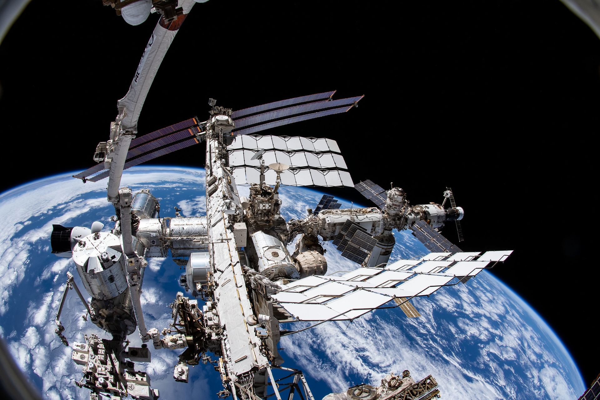 Mikroglony znów polecą w kosmos? ESA ma dla nich istotną misję