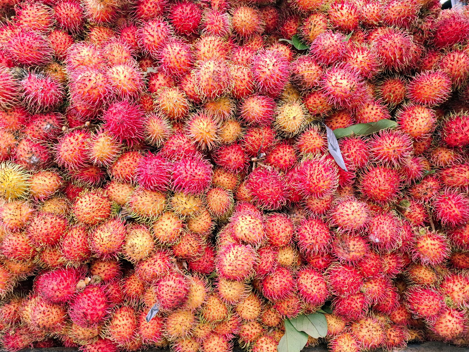 Nie omijaj w sklepie tego "owłosionego" owocu. Ma działanie przeciwnowotworowe i spowalnia starzenie