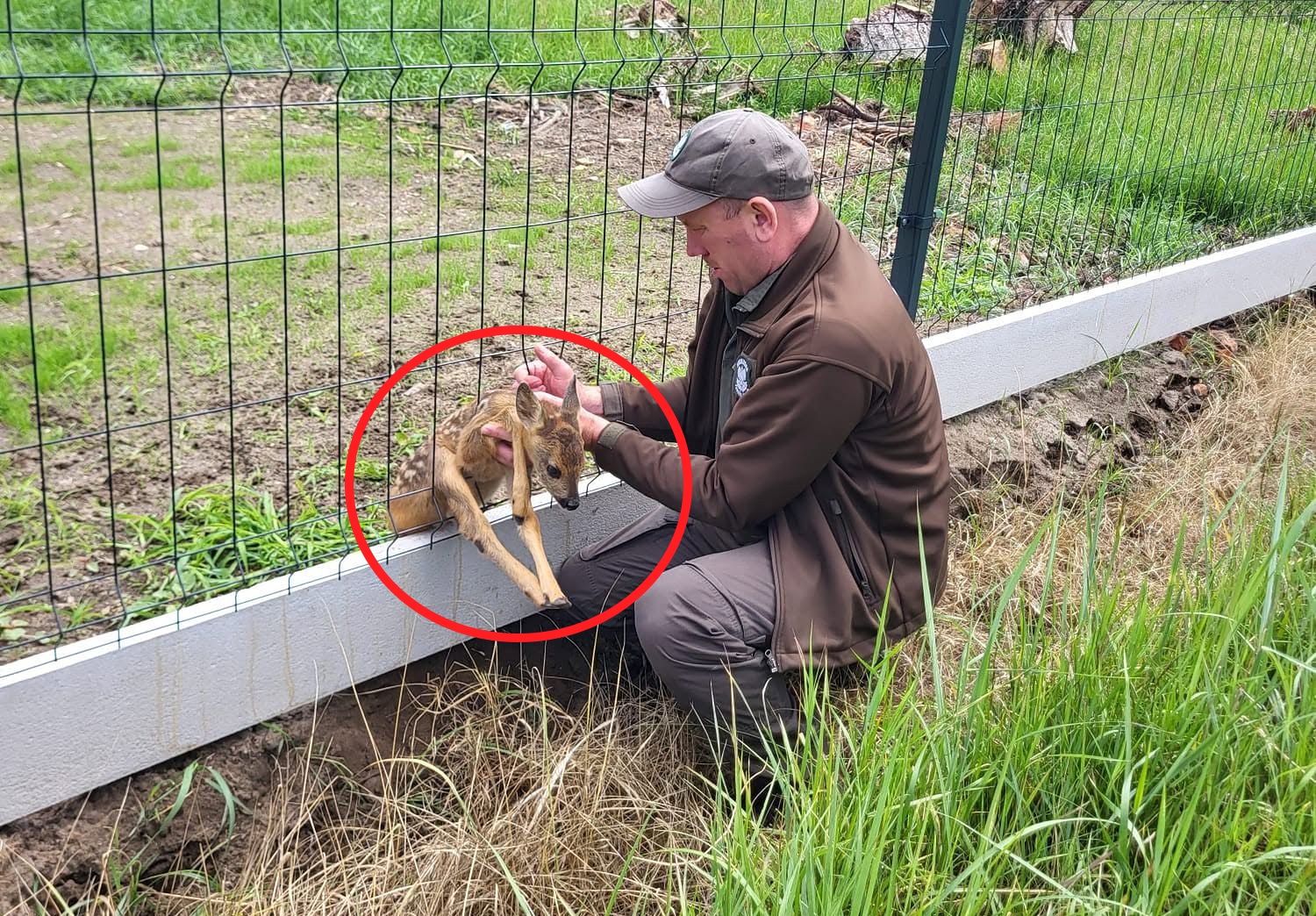 Usłyszeli pisk i ruszyli. "To był poranek pełen emocji"