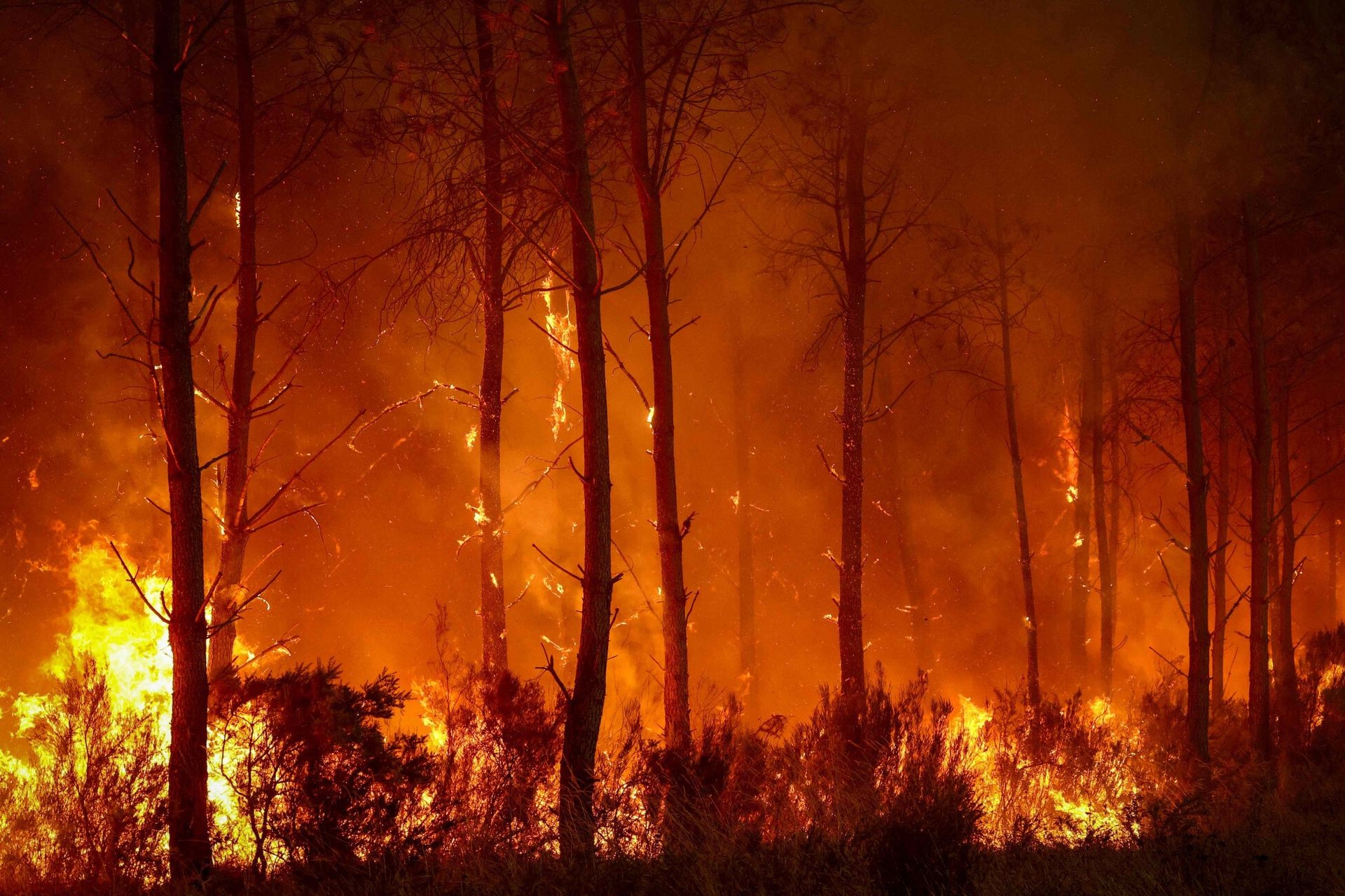 Ekstremalne znaczy normalne. Jakim cudem brutalne konsekwencje zmiany klimatu akceptujemy tak łatwo? [OPINIA]