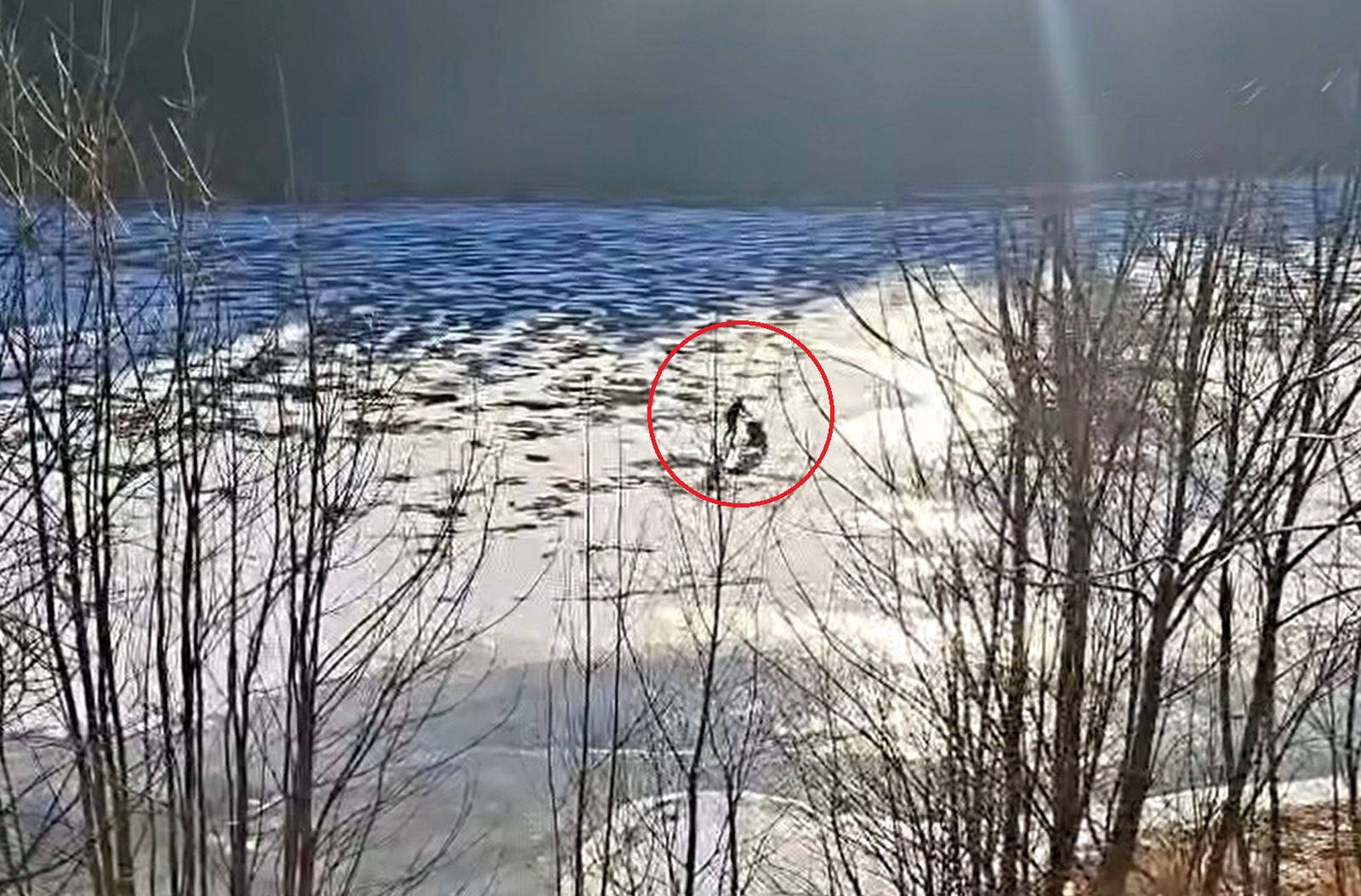 Szokujące nagranie z Czech. Weszła na taflę lodu z wózkiem dziecięcym