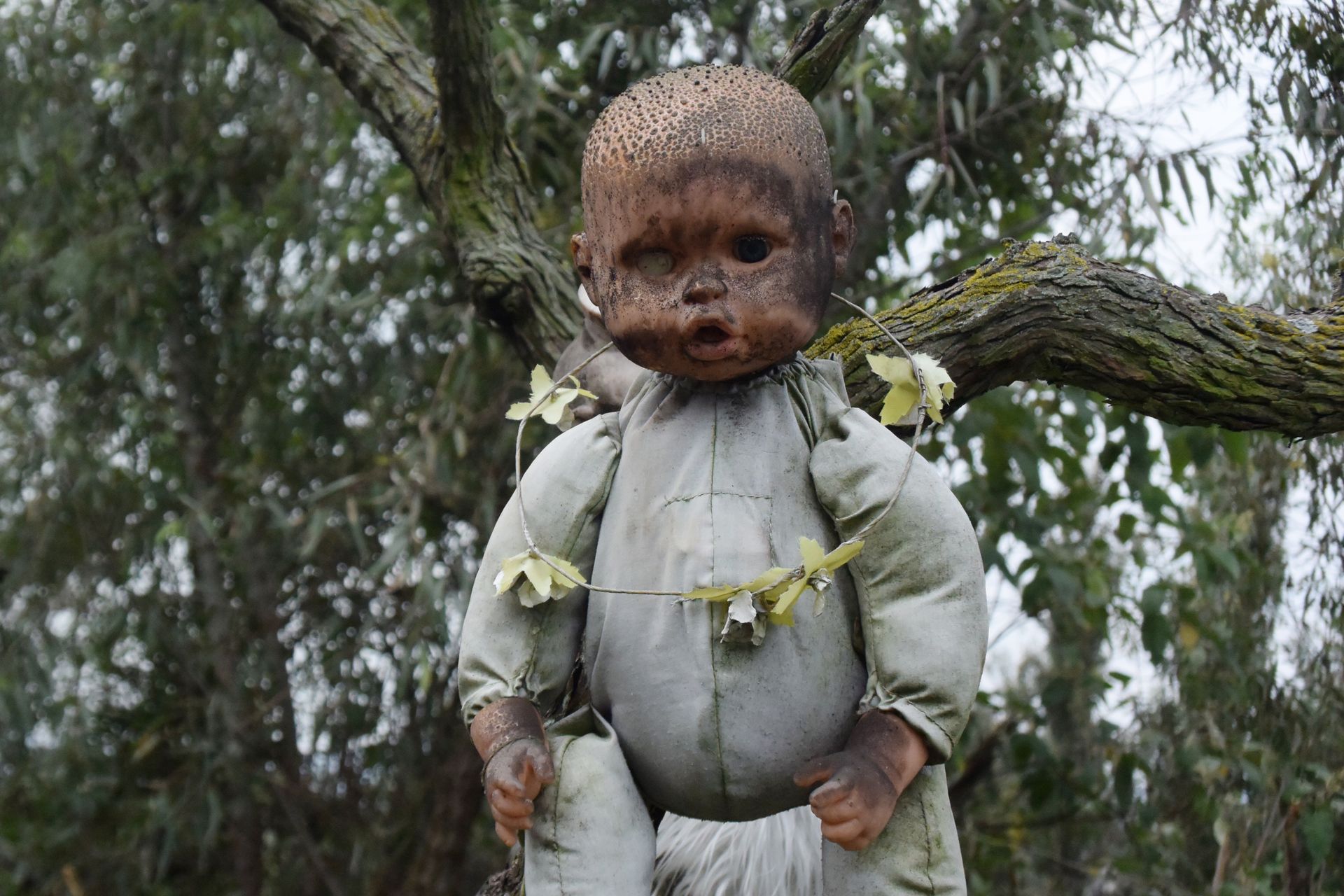 Tysiące lalek na wyspie. Wszystkie są zniszczone