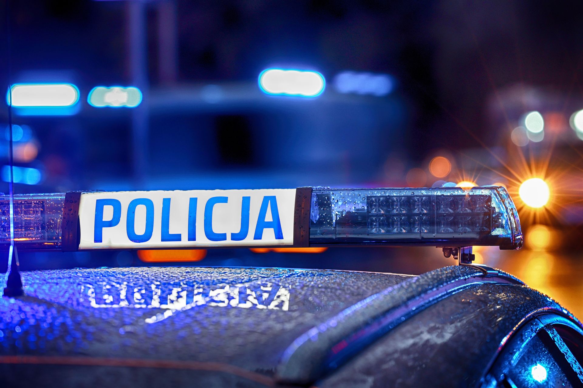 Rozpędzony jeleń wpadł do jadącego auta. Dwie osoby w szpitalu