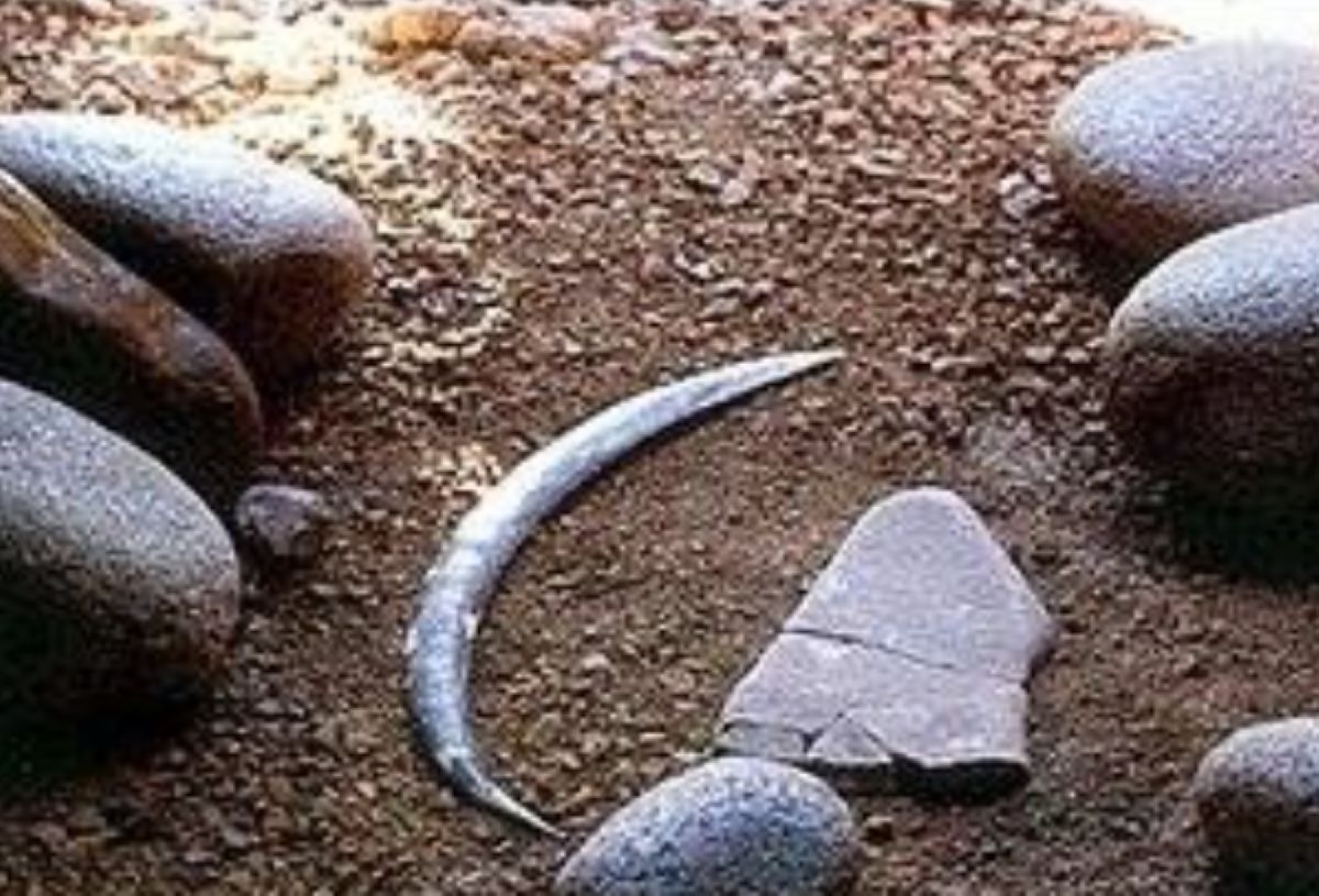 Bumerang z polskiej jaskini. Jest starszy niż sądzono