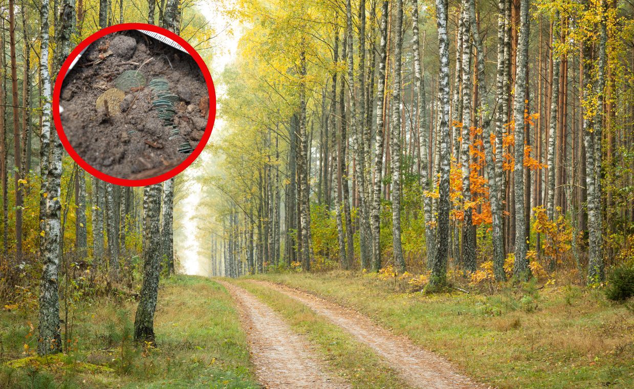 Niezwykłe odkrycie archeologiczne w Puszczy Knyszyńskiej. Znalezisko pochodzi z XVII wieku