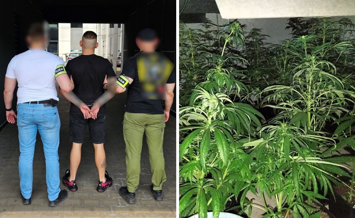 Policja przejmuje 40 kg narkotyków. Część była schowana w gitarze