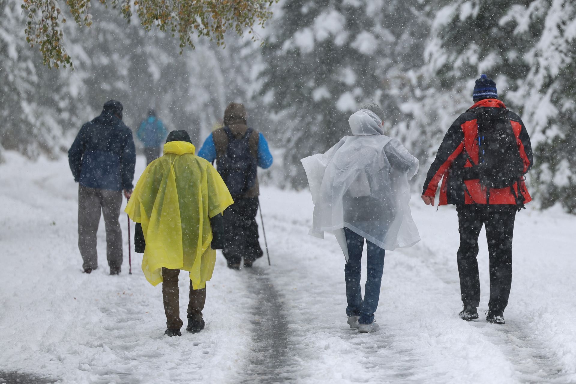 Mgły i przygruntowe przymrozki. A w Tatrach jeszcze więcej śniegu