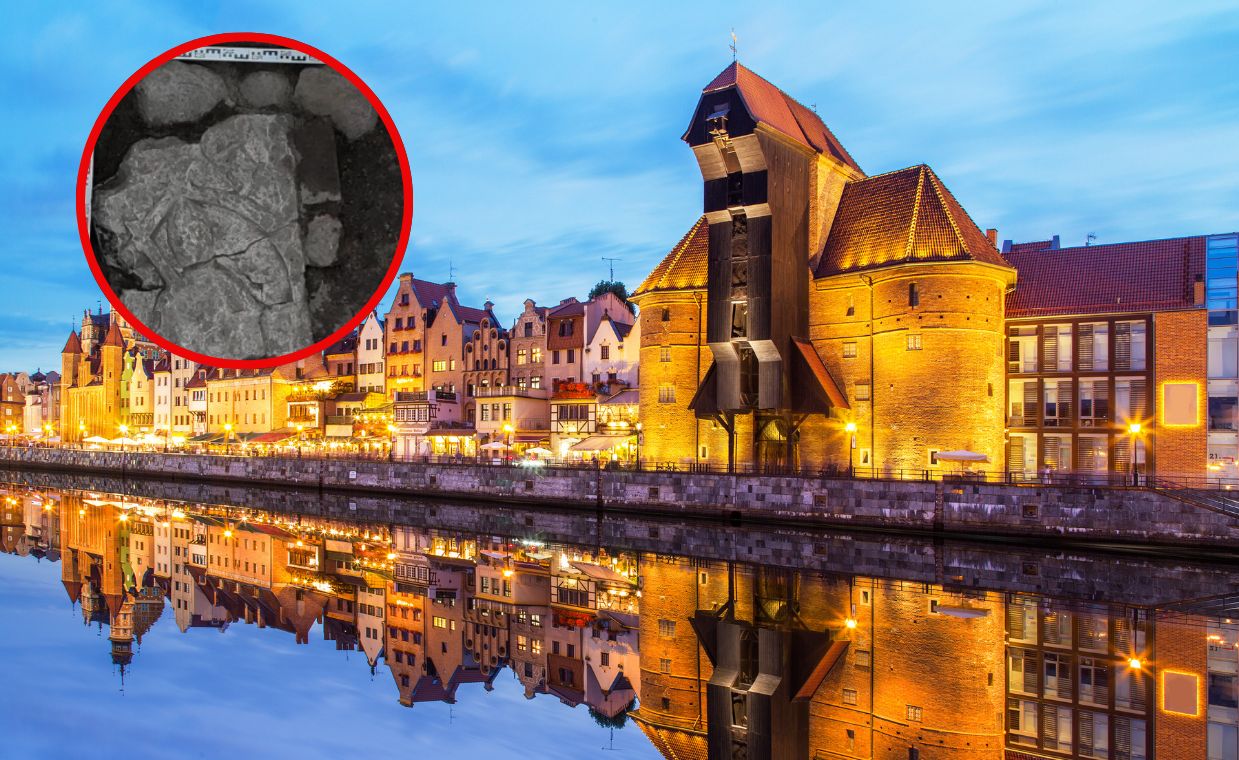 Sensacyjne odkrycie w Gdańsku. Rycerz z XIII wieku odnaleziony pod dawną lodziarnią "Miś"