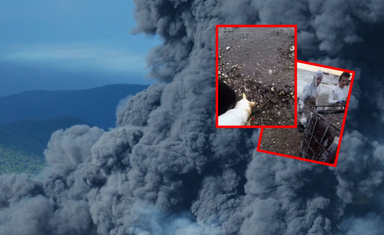 Katastrofa się potwierdza. Pojawiają się nagrania z Rosji