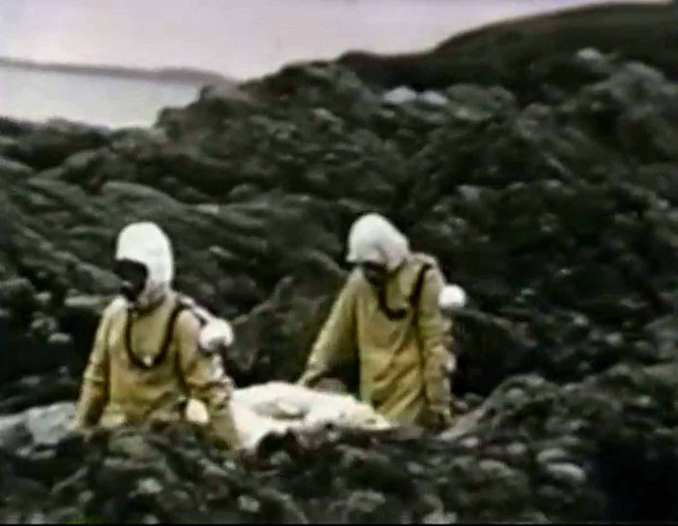 Chmury trucizny i śmierć owiec. Tajny projekt Brytyjczyków