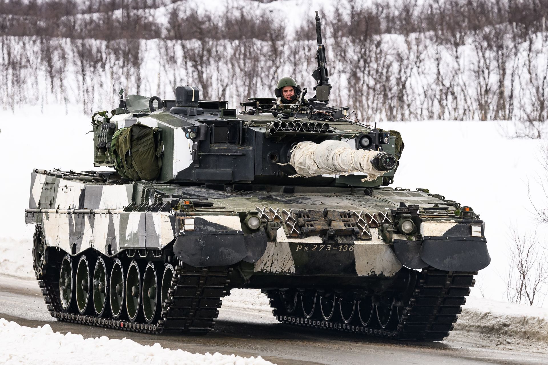 Graniczą z Rosją. Mogą mieć najwięcej rezerwistów w NATO