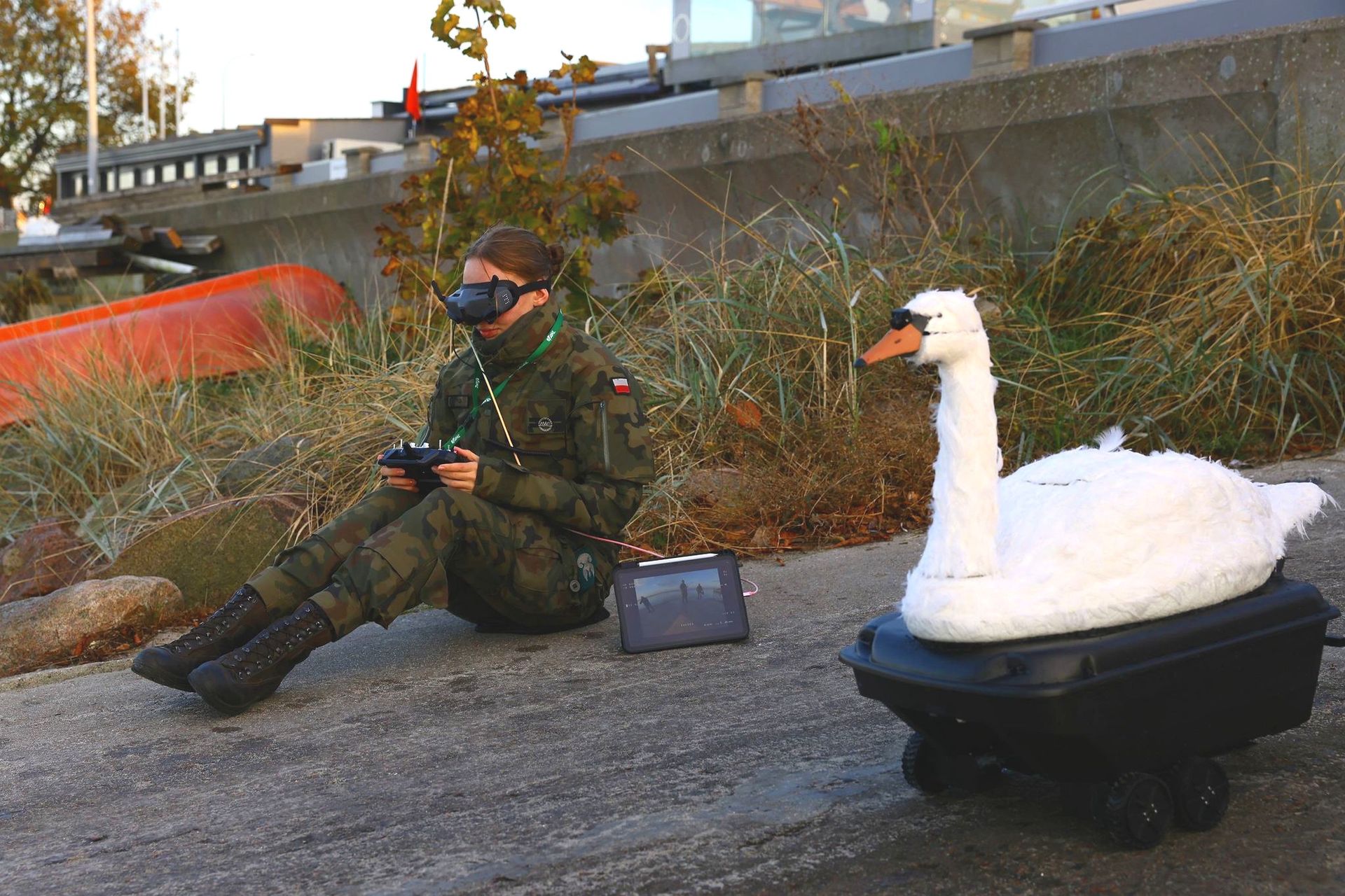 Bojowy łabędź z Polski. Drony w kształcie ptaków budowało również CIA