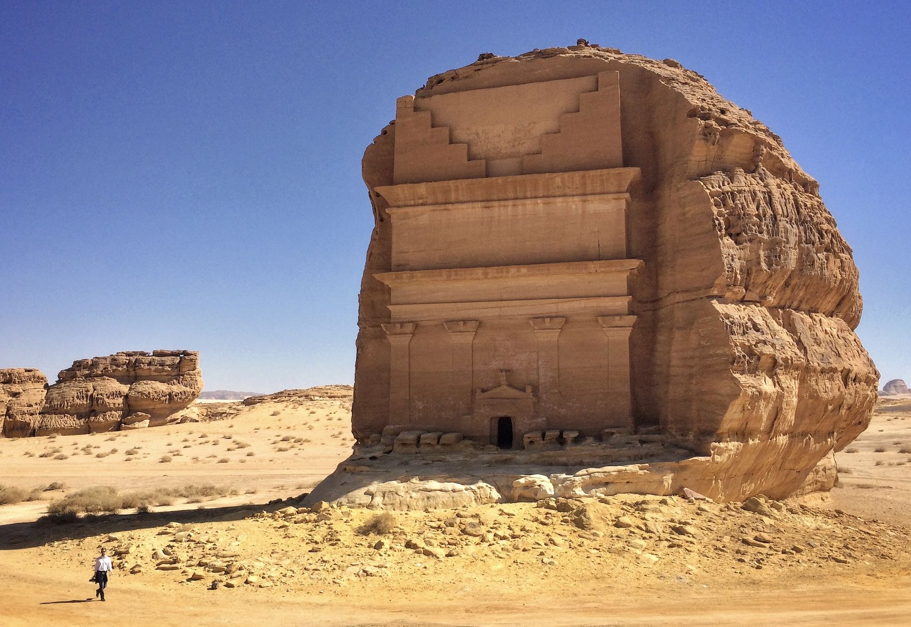 Zaskakujące odkrycia geologa. Znalazł ślady ewolucji roślin w Arabii Saudyjskiej
