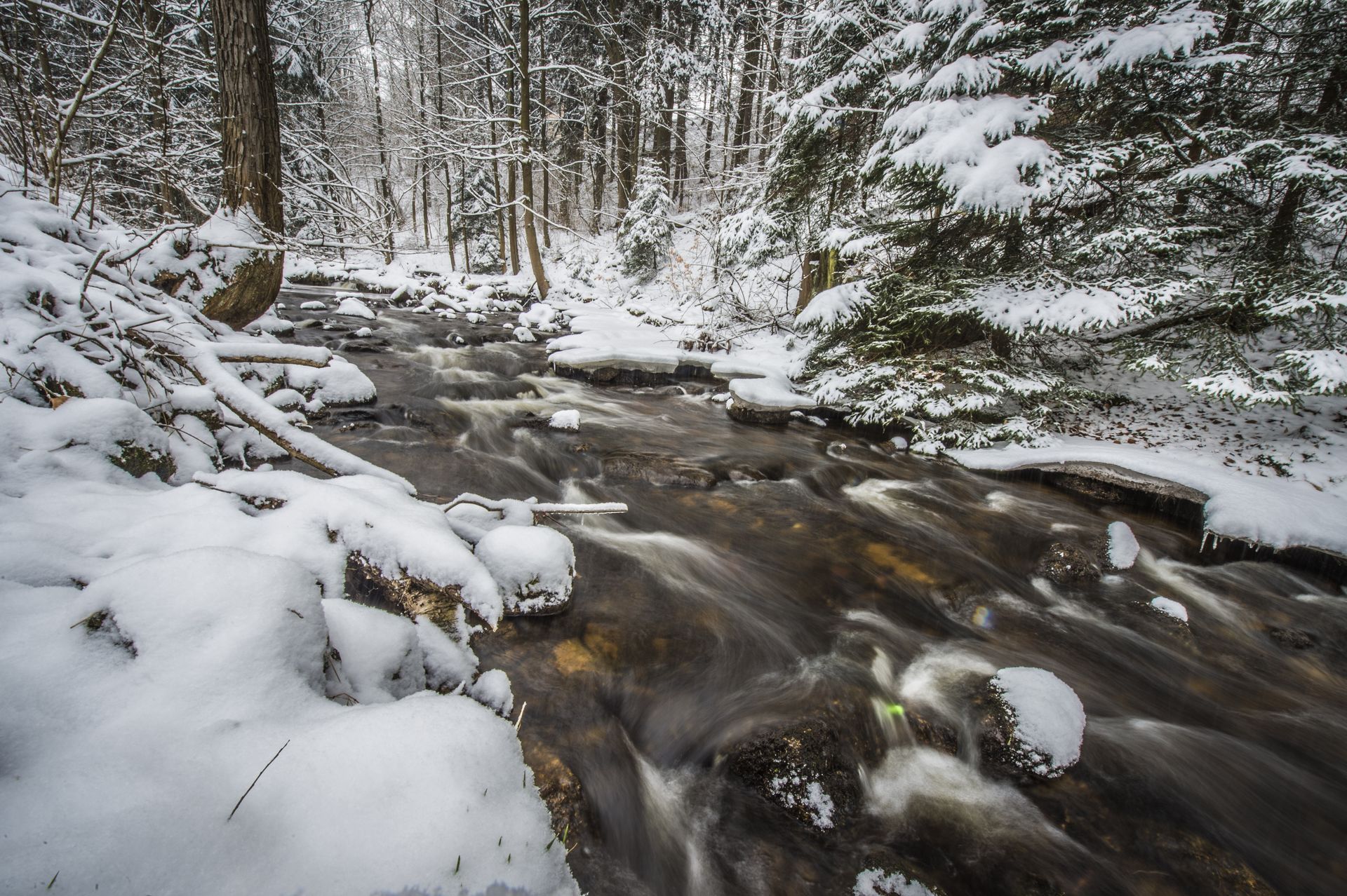 Czechy pokryte śniegiem. Rekordowe opady