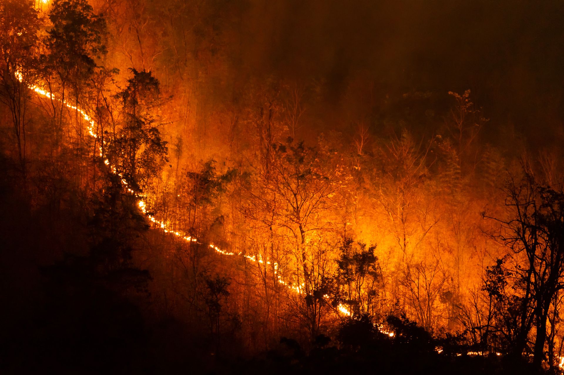 Ekstremalne zagrożenie pożarowe w lasach. IMGW alarmuje