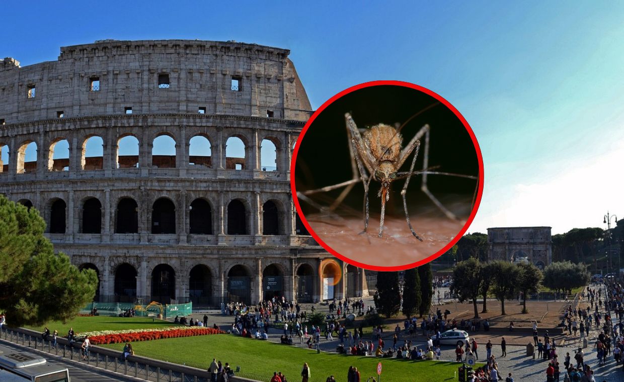 Groźny wirus we Włoszech. Są ofiary śmiertelne, roznoszą go komary