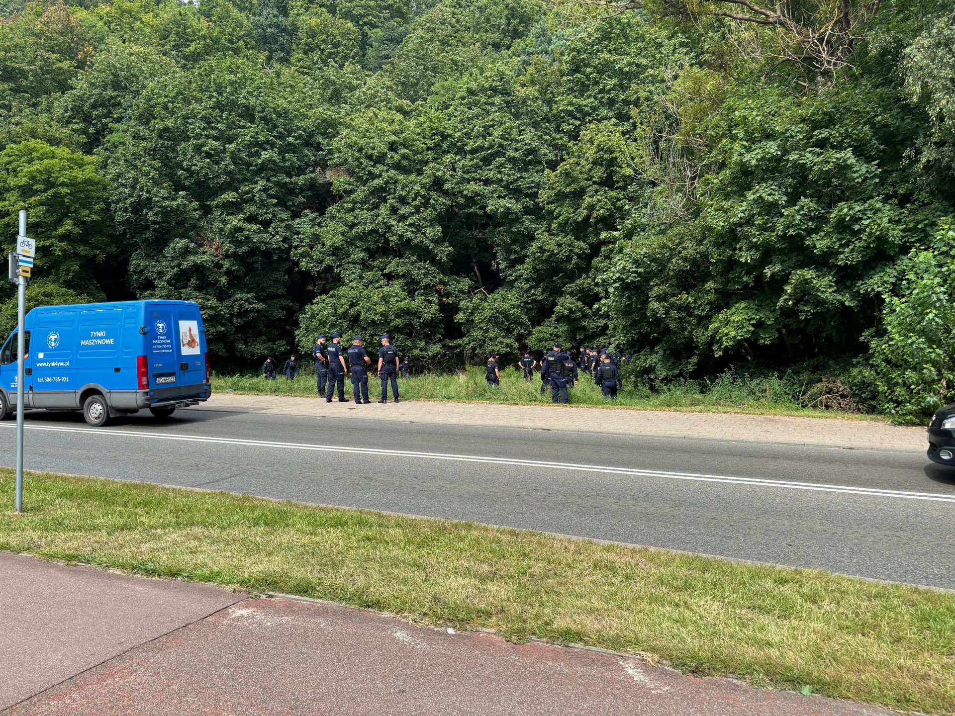 Psy pogryzły go podczas zbierania grzybów. Nie żyje