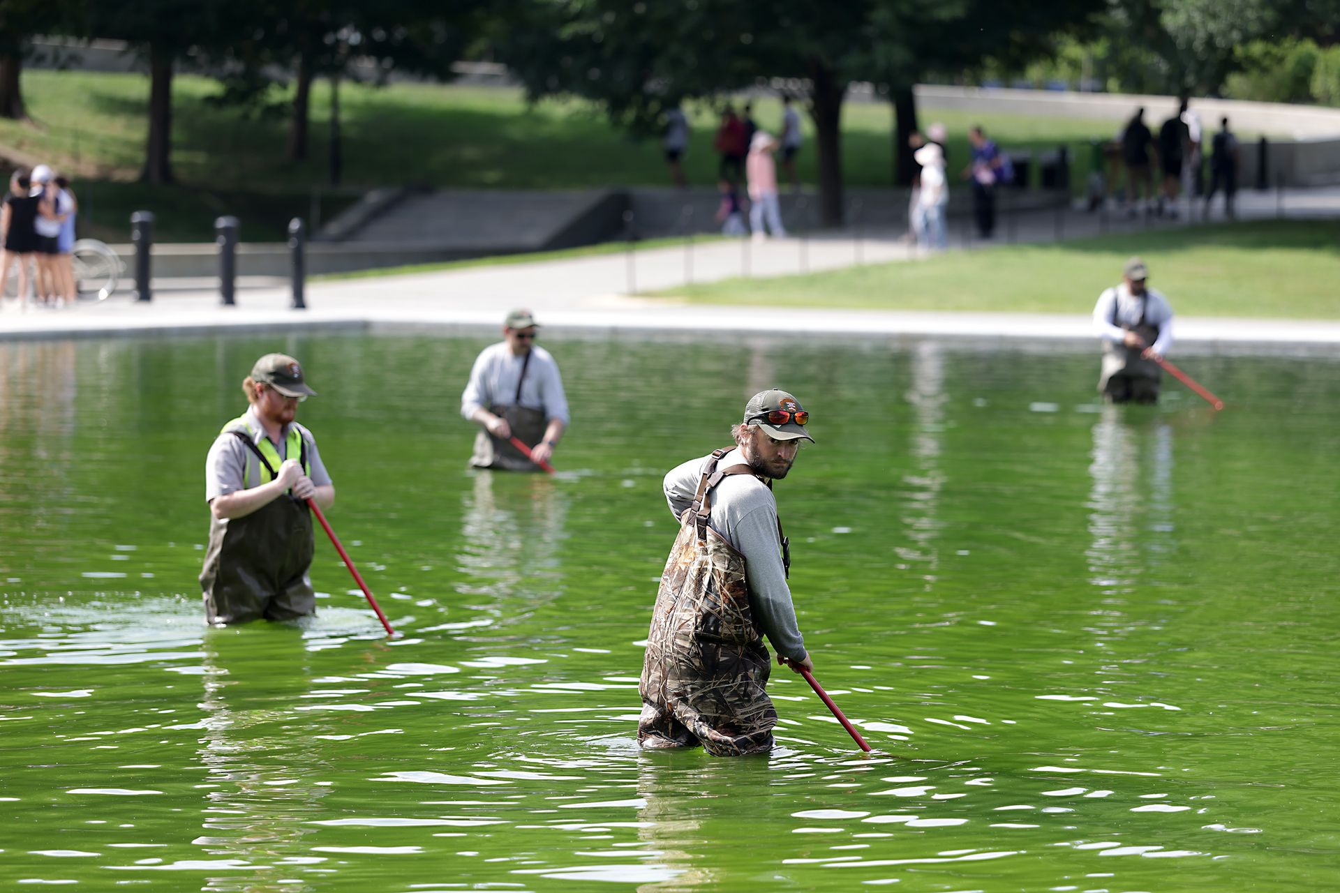 Trump zarządził renowację. Glony się nie przejęły, zniszczyły National Mall
