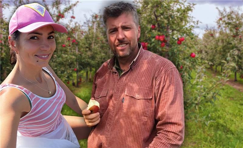 Samozbiory, zaczyna się szał. Przyjeżdża tysiąc osób, w jeden dzień ogałacają pole papryki