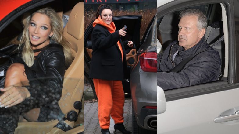 Na podwójnym gazie jechał nie tylko Ryszard Rynkowski. Oto gwiazdy, które prowadziły po alkoholu (ZDJĘCIA)