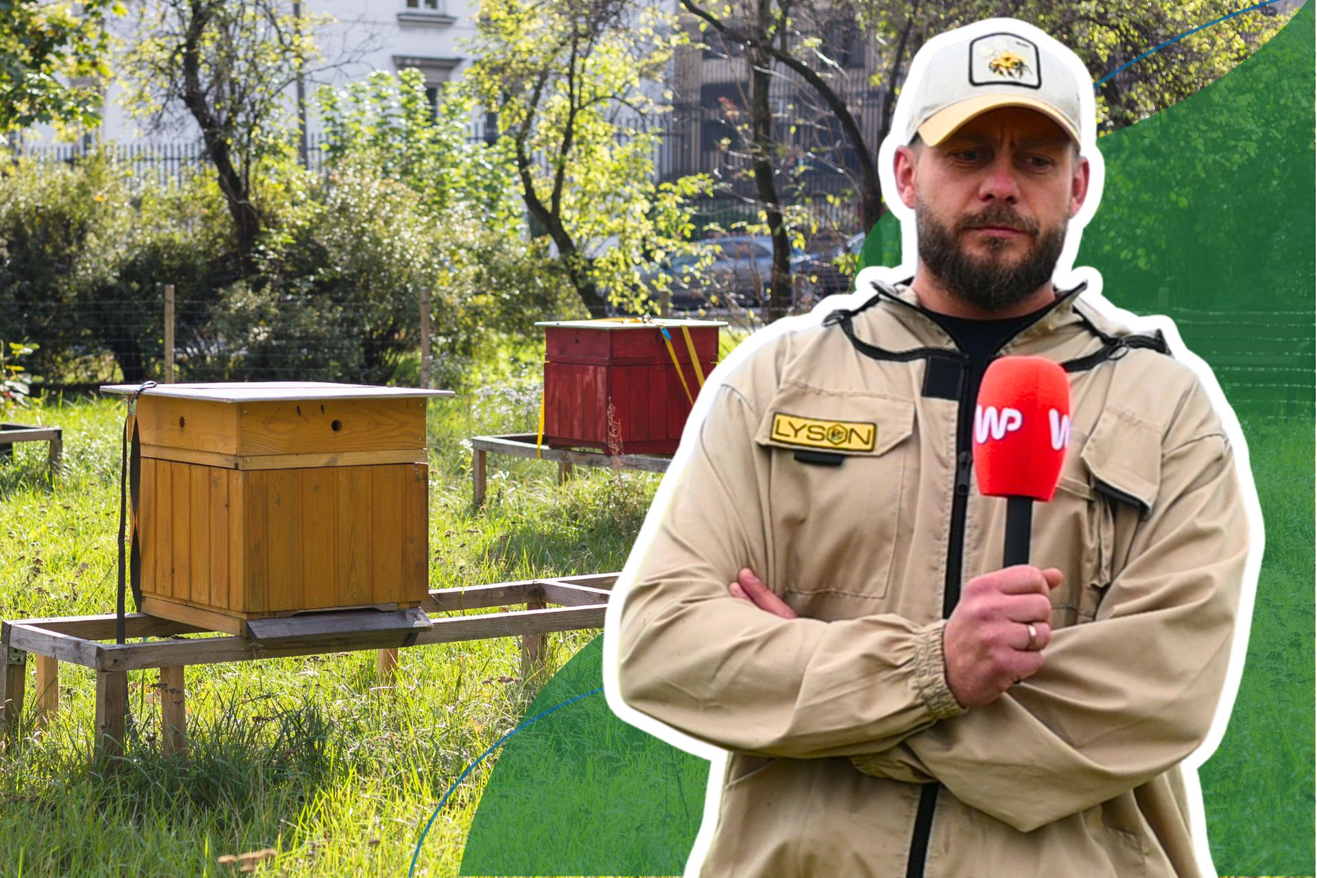 Kupujesz tylko wiejski miód? Pszczelarz mówi prawdę o ulach w miastach