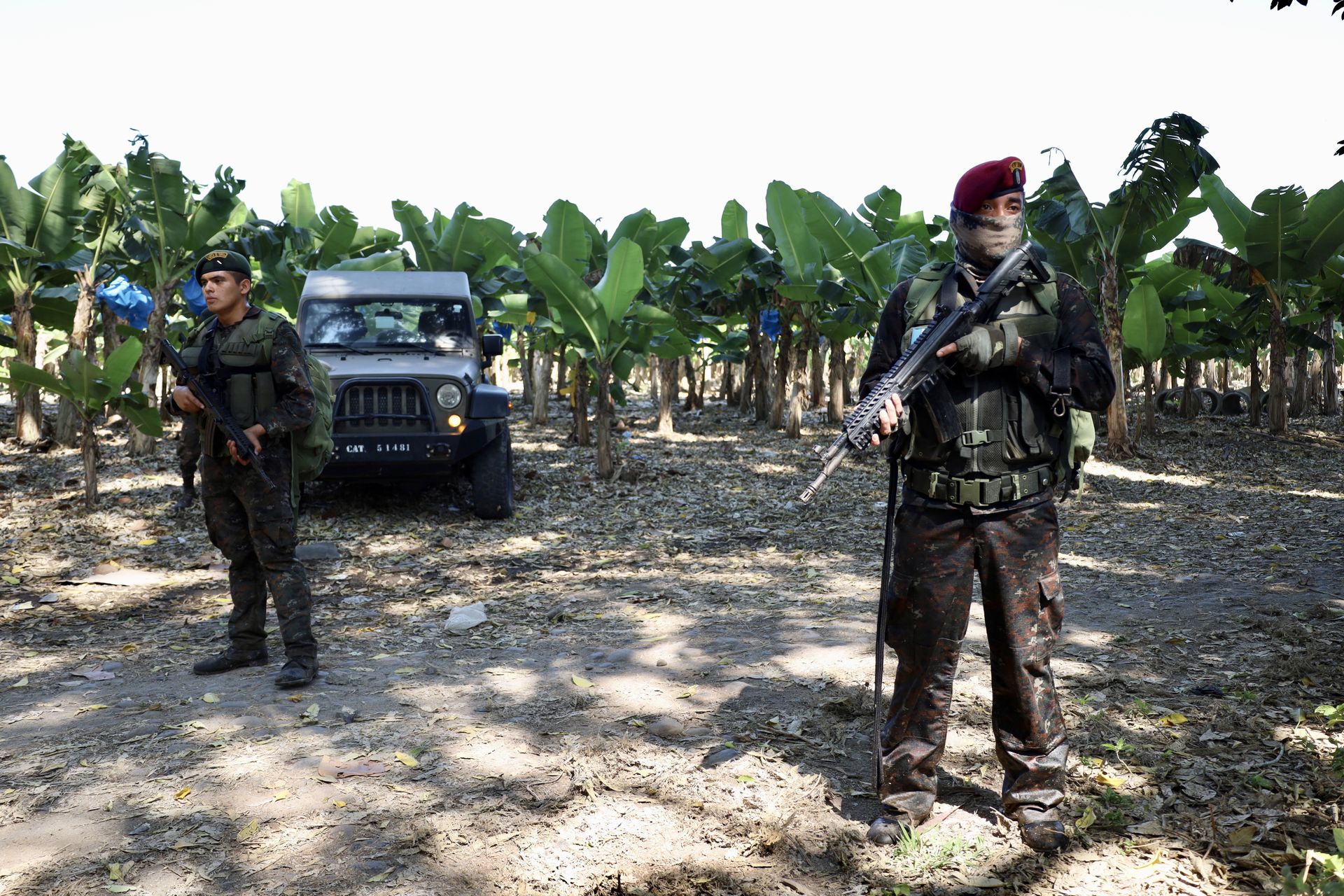 Przejęto tony kokainy. Sukces służb Meksyku