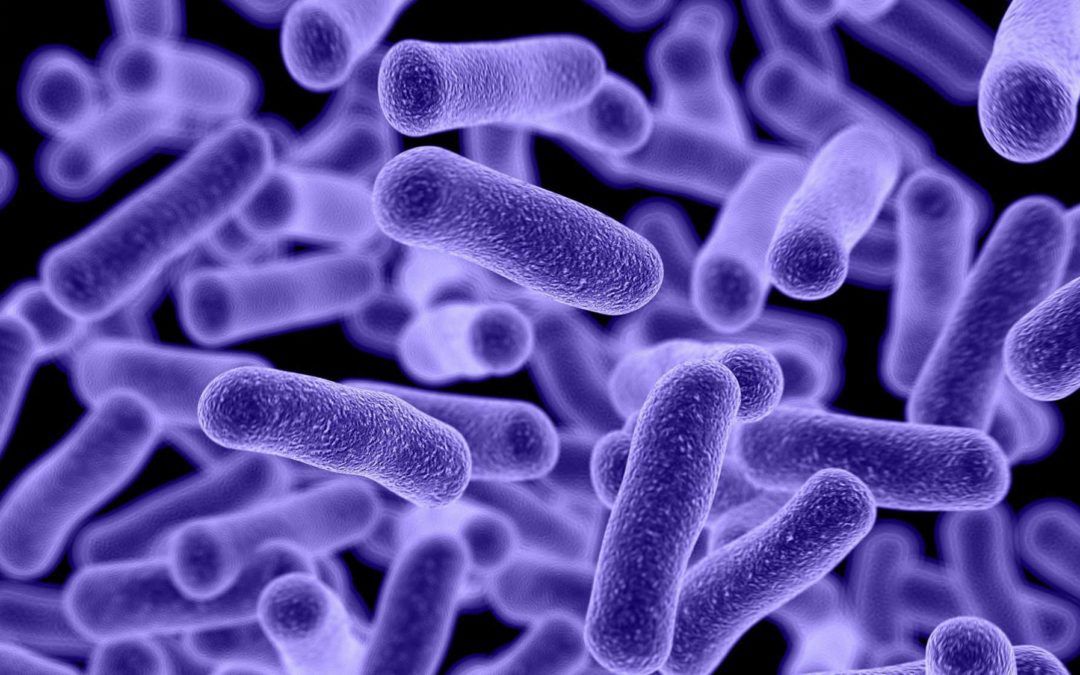 Mają 100 milionów at. Naukowcy zdołali je ożywić