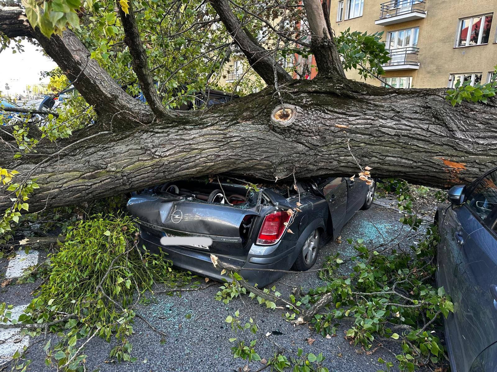 O krok od tragedii. Drzewo zmiażdżyło auta. Dwie osoby były w środku