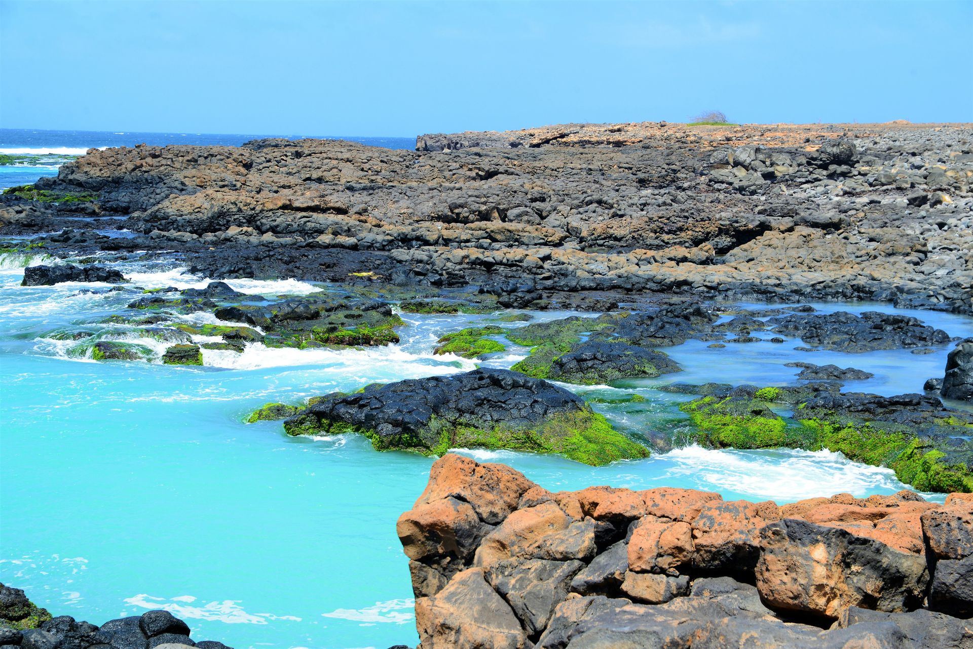 Są niezwykle ważne. Ich populacja spada przez zmiany klimatyczne