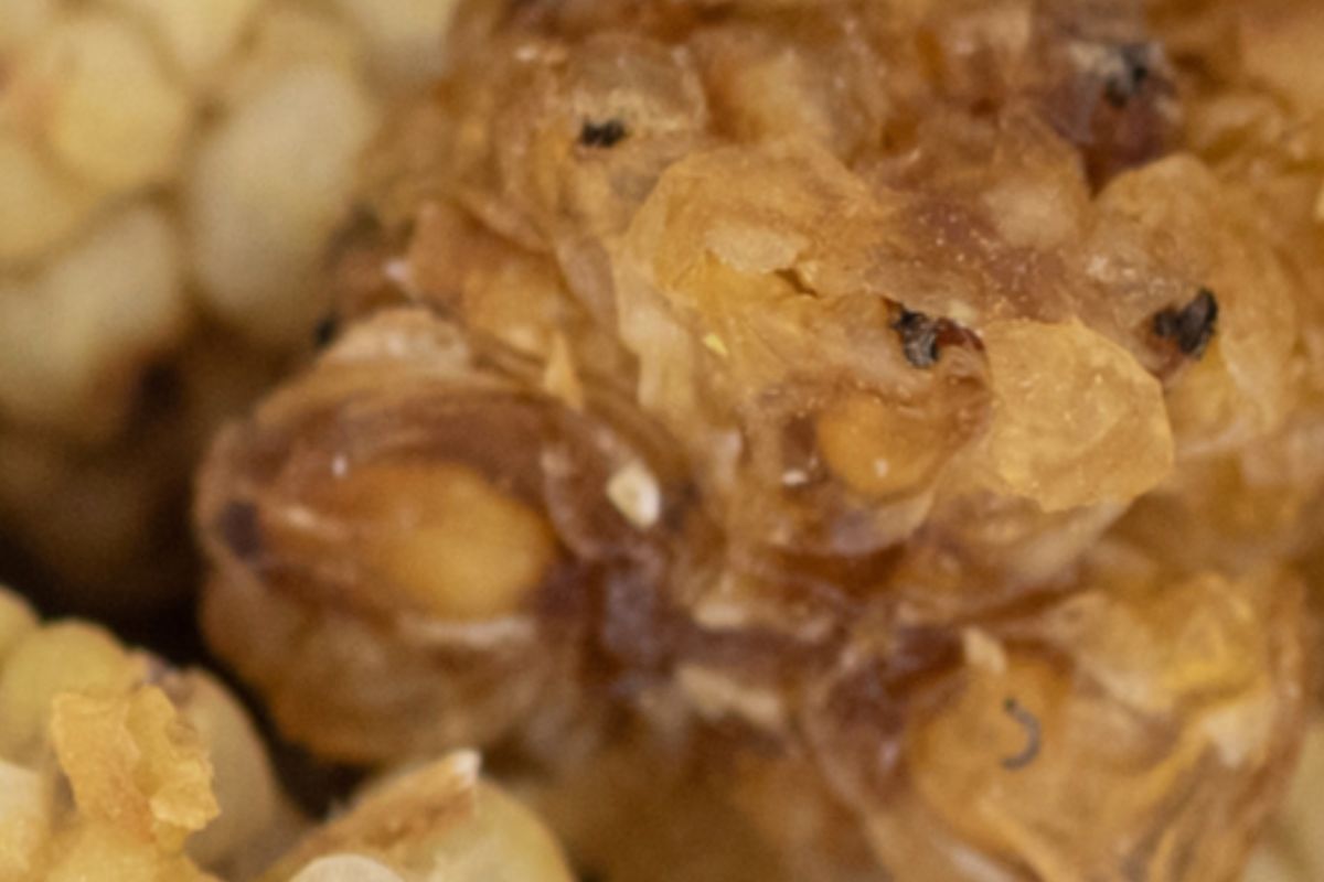 Jest lepsza i zdrowsza niż słodycze. Znika szybciej niż pieniądze z konta