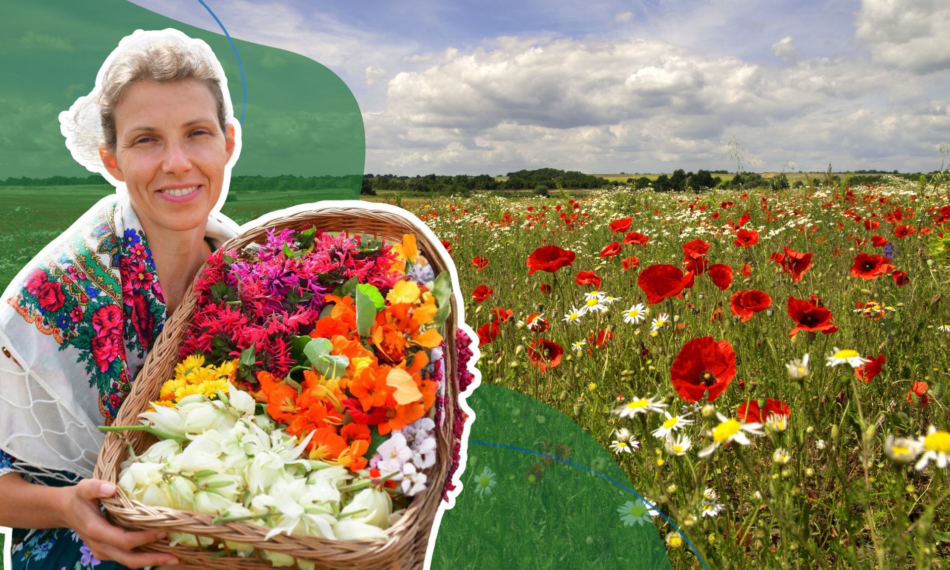 Dzikie owoce, stokrotki i inne niedoceniane "zielska". Ekspertka poleca darmowe pyszności z łąki