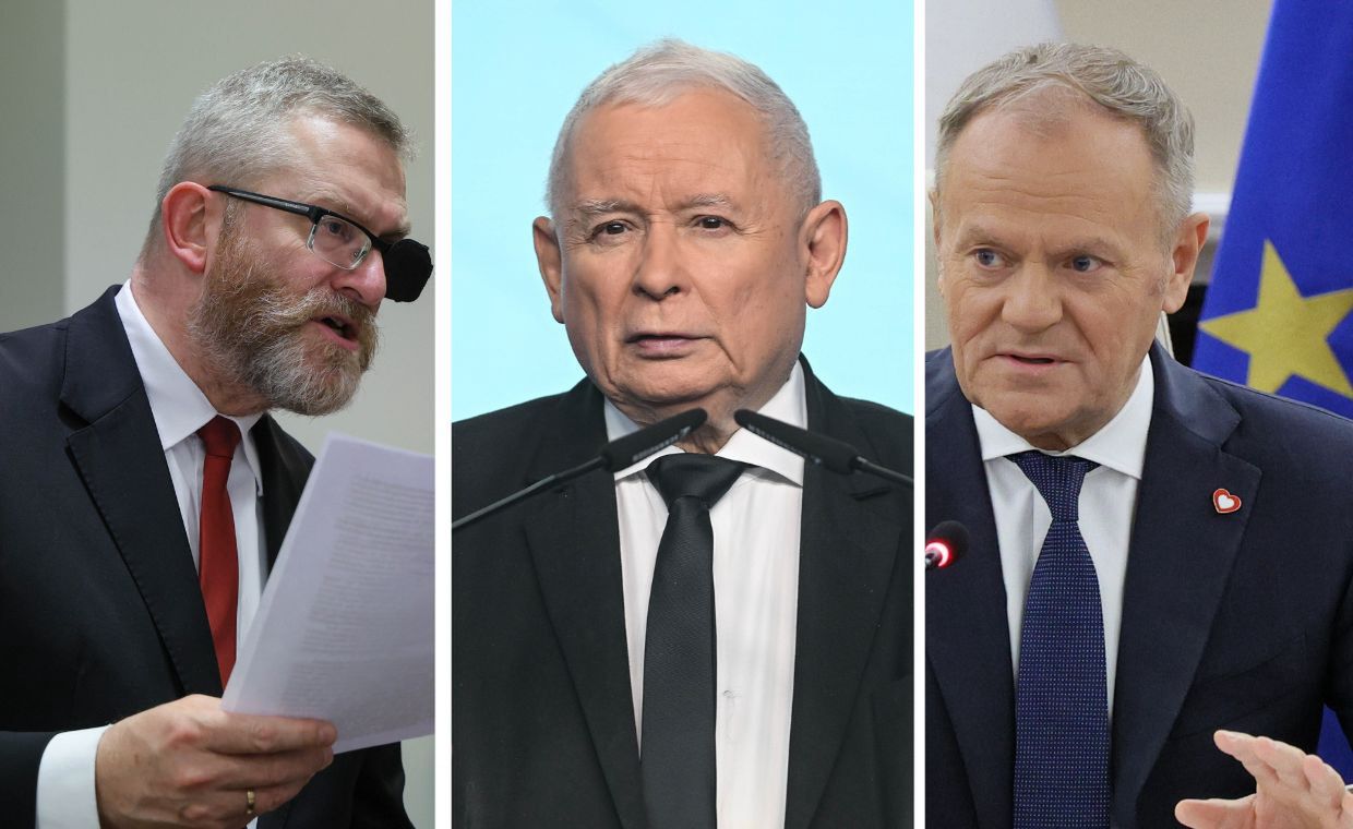 Najnowszy sondaż. Koalicja Obywatelska na czele, duży wzrost Brauna