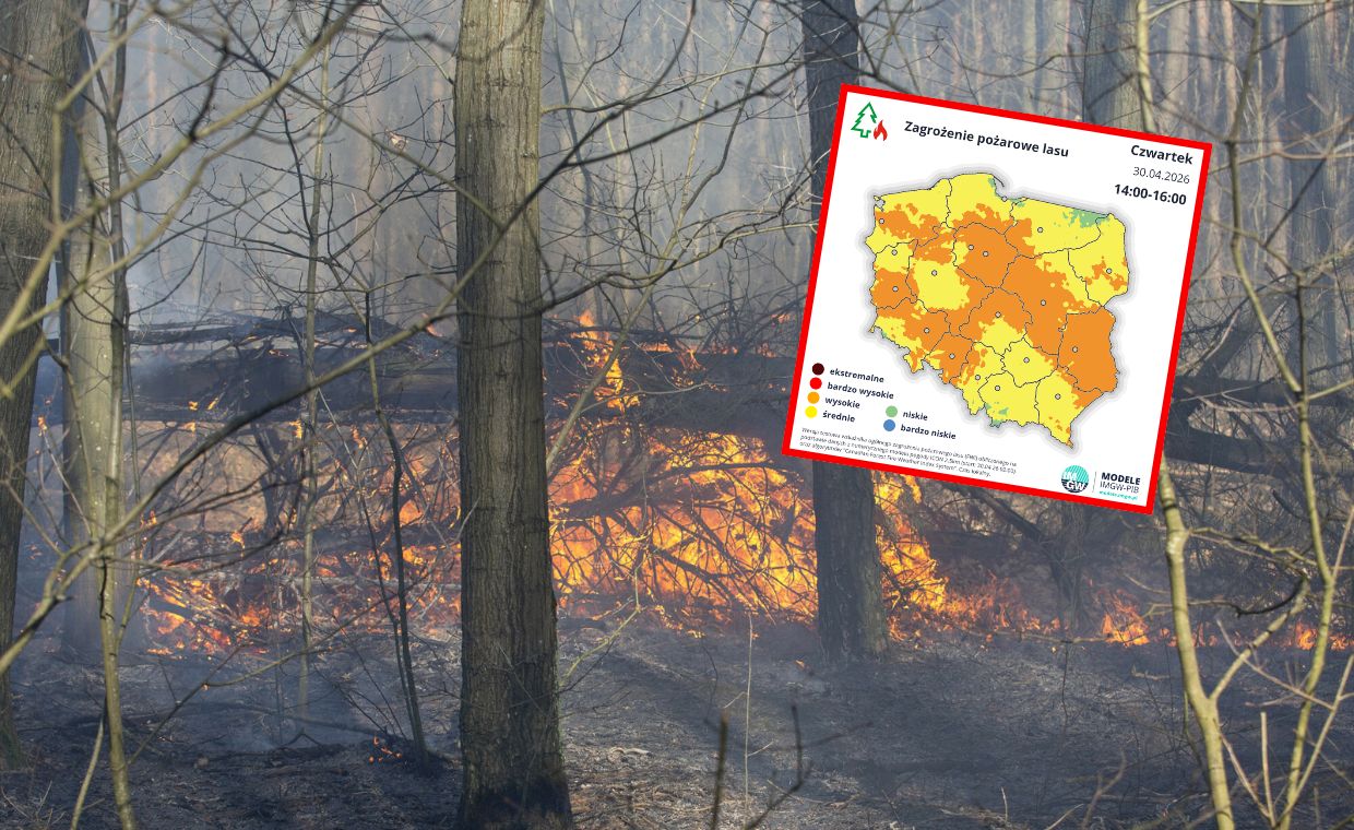 RCB i IMGW ostrzegają. Wysokie zagrożenie pożarowe