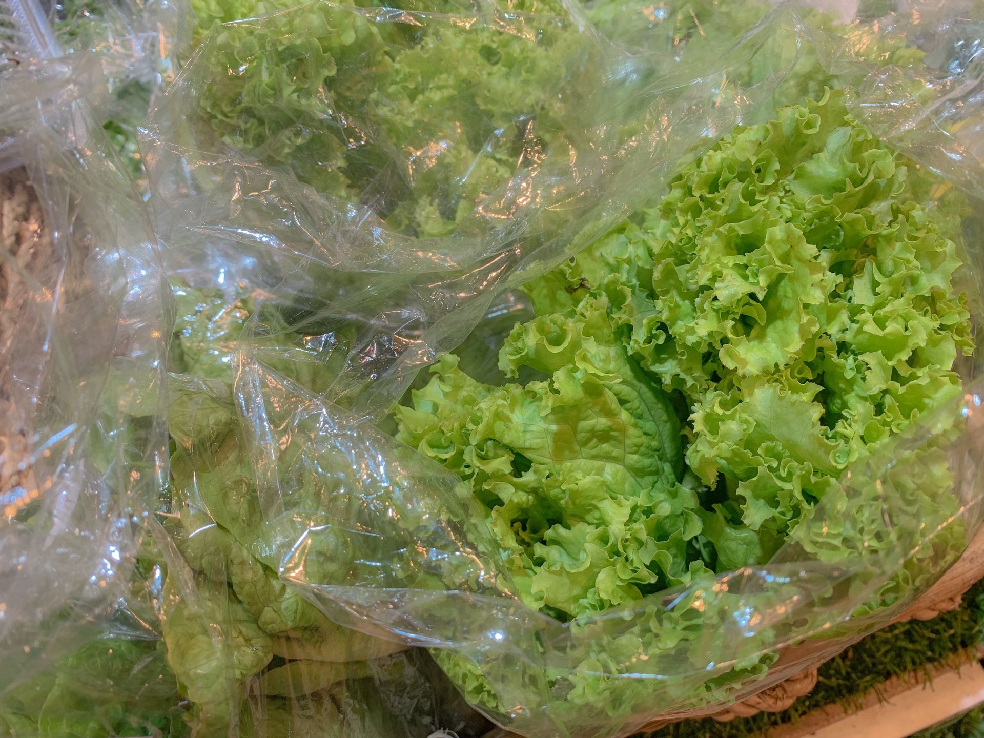 "Nie pomoże wielokrotne płukanie". Ekspertka ostrzega