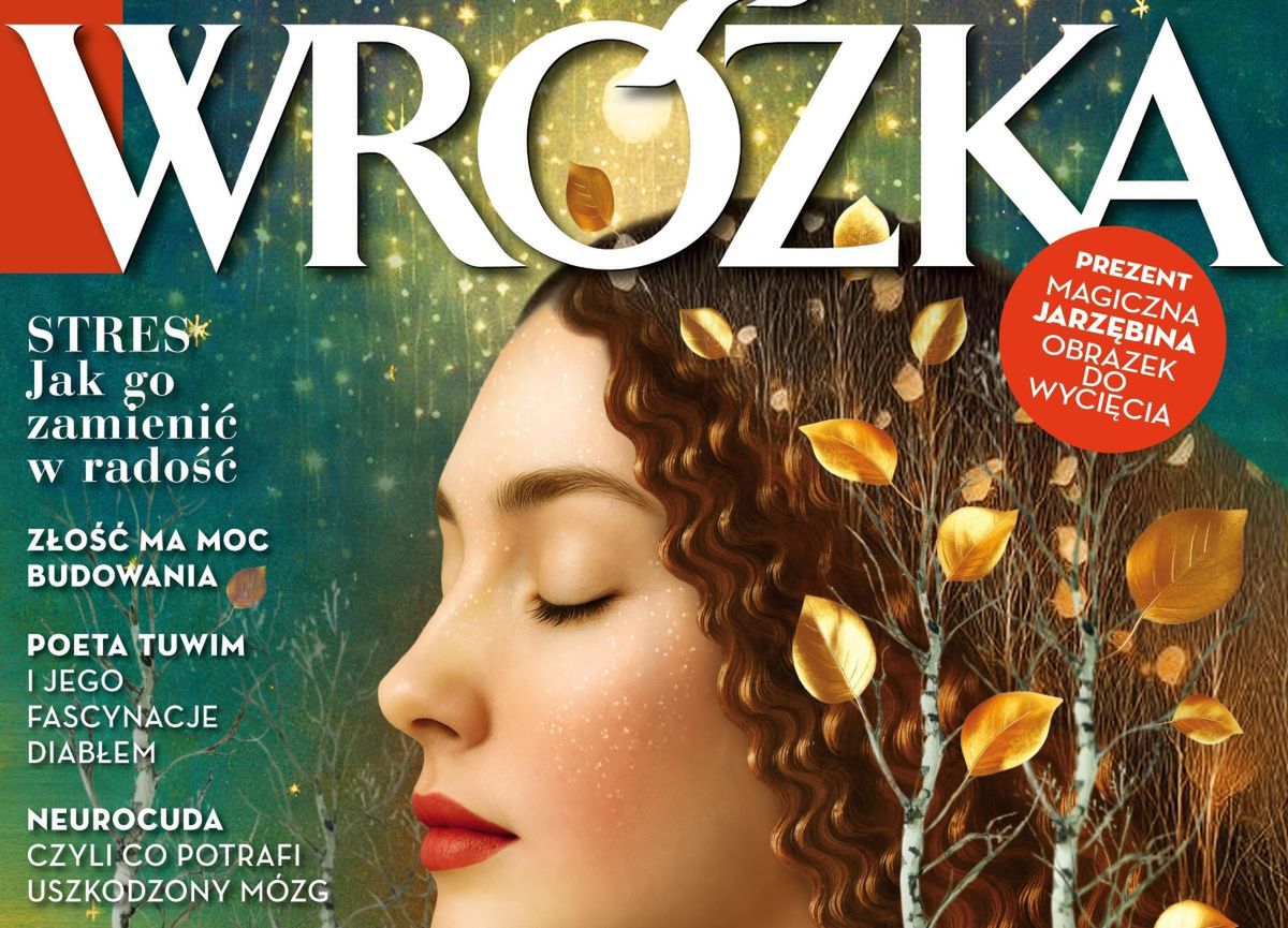 Trzy nowe tytuły w ofercie InPostu. Zamówisz je do paczkomatu