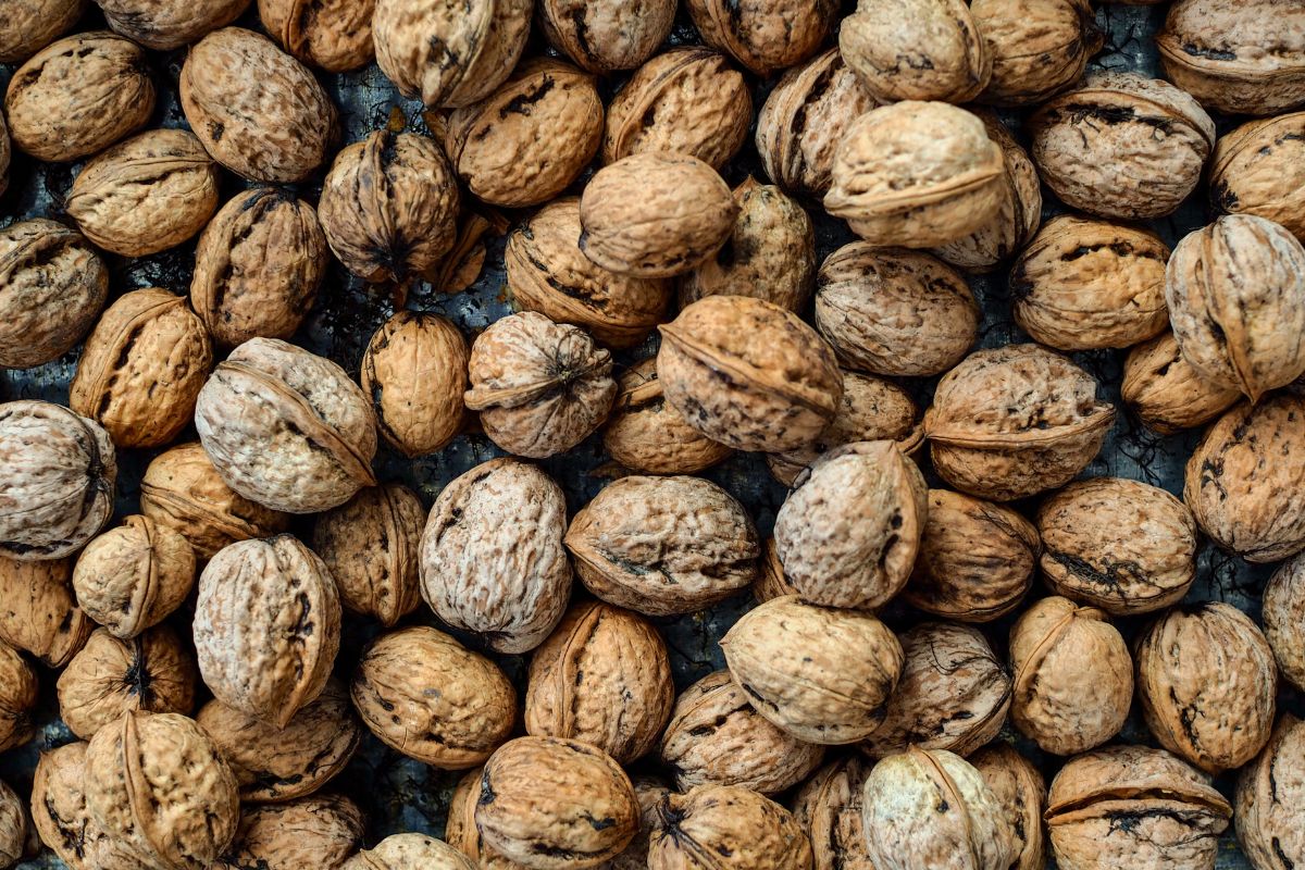 Ten sposób zdradził mi dziadek Antek. Orzechy włoskie nie pleśnieją i chrupią aż miło