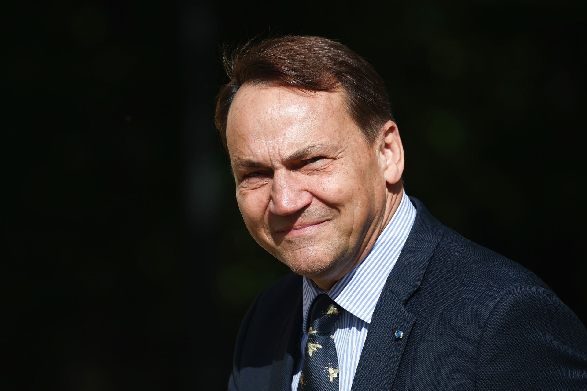 Polacy popierają propozycję Sikorskiego ws. NATO