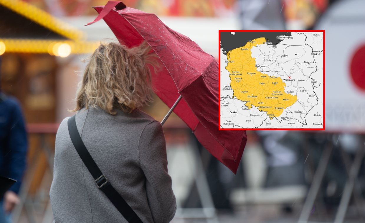 Do Polski nadchodzi silny wiatr. IMGW wydał alerty