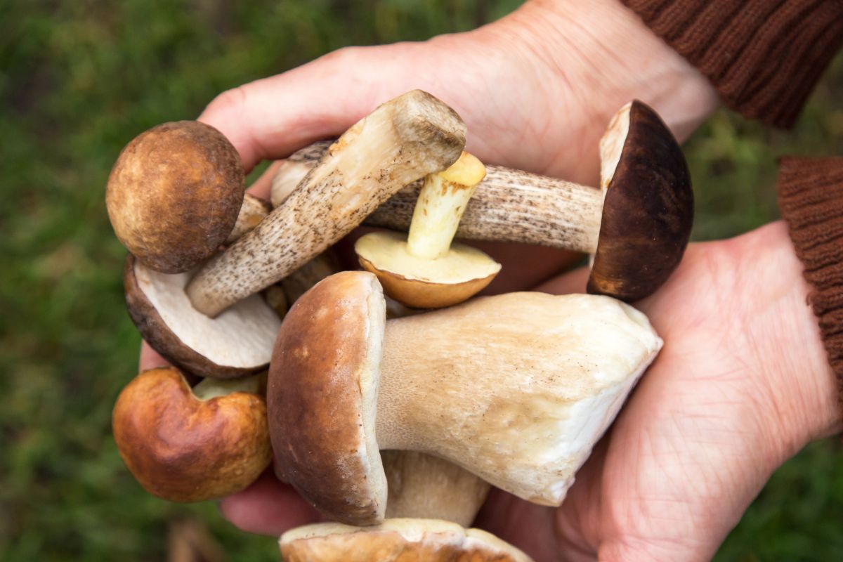 Sezon już się zaczął. Wcześniej niż zwykle