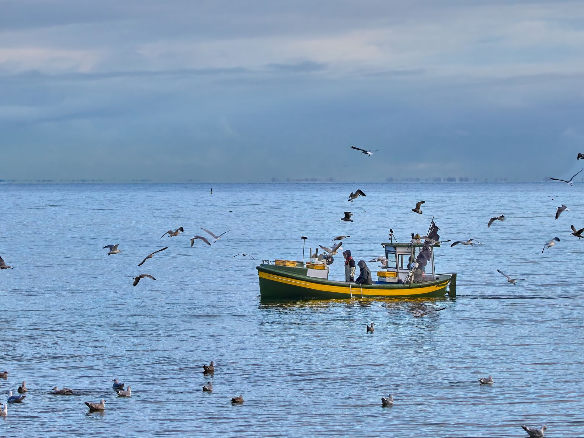 Choroba Zalewu Wiślanego. Jest decyzja w sprawie dochodzenia