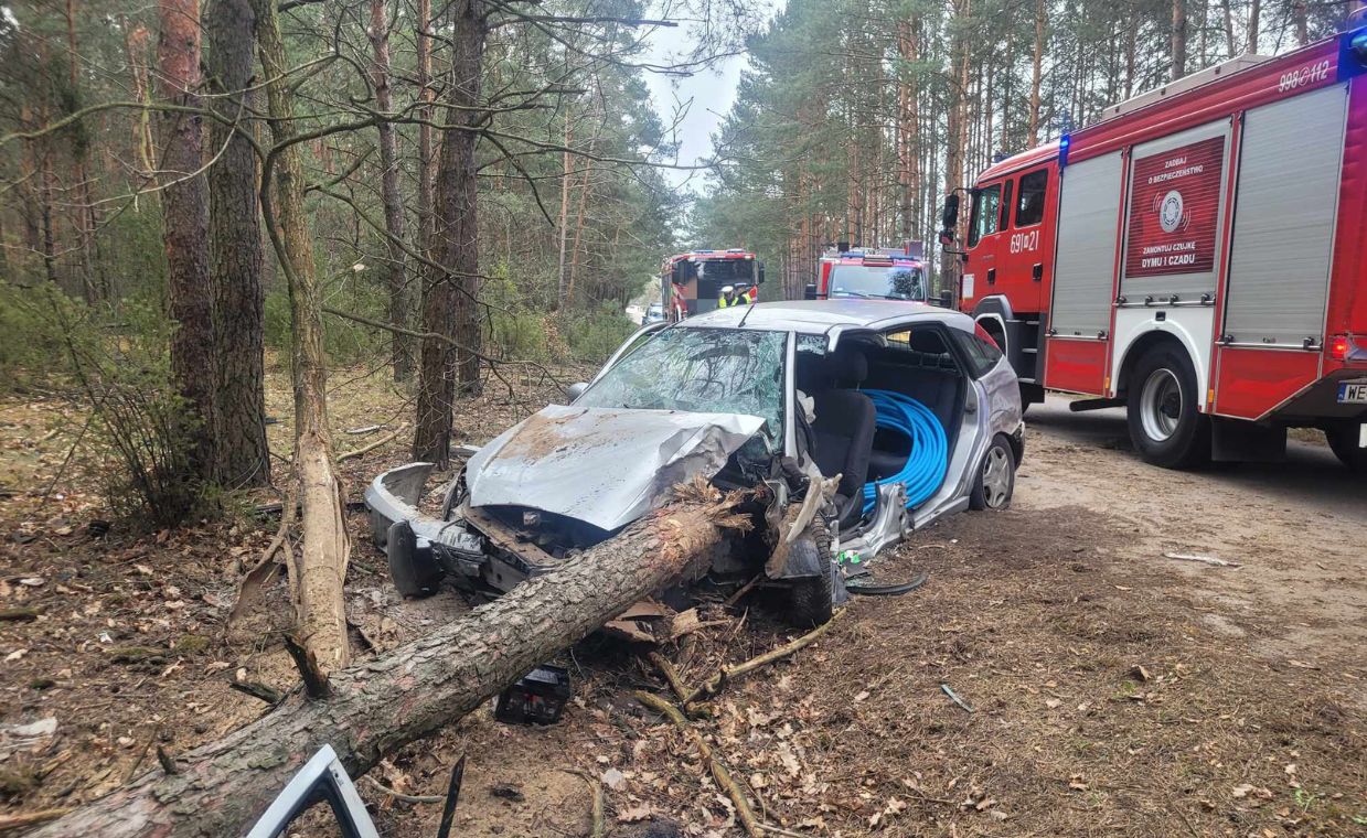Koszmarny wypadek w Anastazewie. Drzewo przebiło samochód