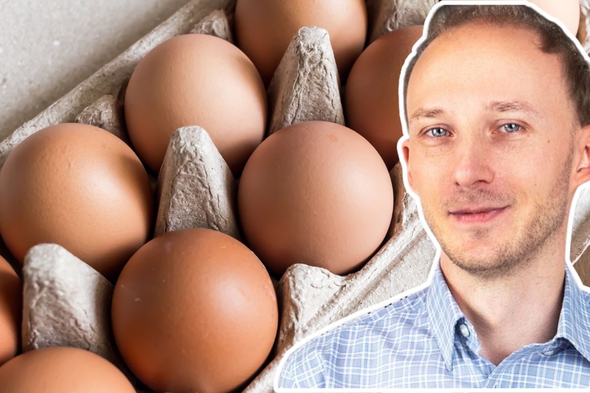 Dietetyk stawia sprawę jasno. Tyle jajek można zjeść w ciągu tygodnia bez obaw