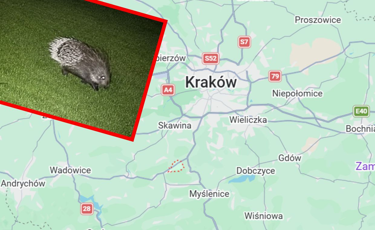 Nietypowe zgłoszenie na policję w Myślenicach. Dzieci się bały