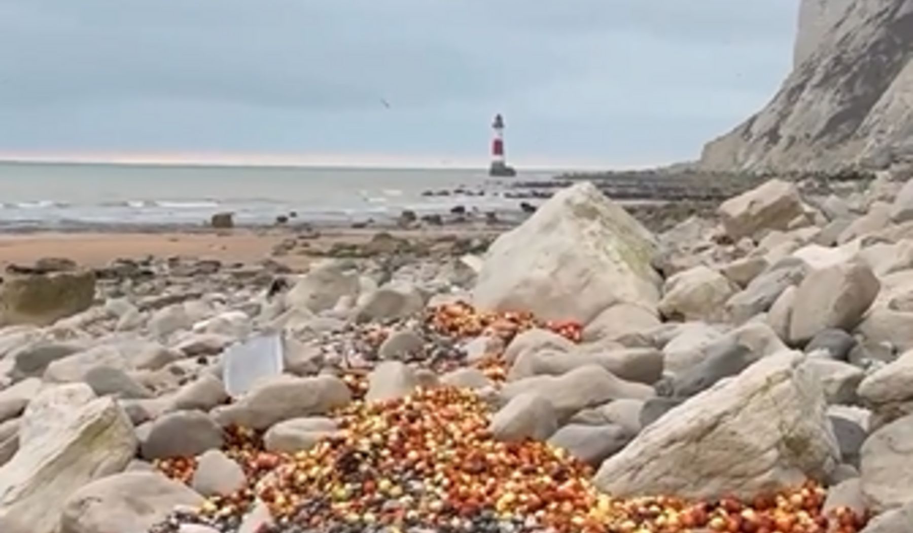 Plaża pełna cebuli i bananów. Nie znalazły się tam przypadkiem