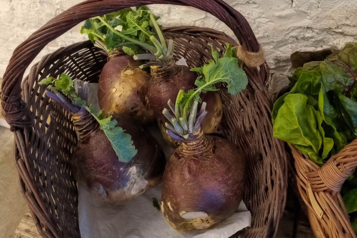 Na Podbeskidziu jedzą jesienią kwaki. Słodko-ostry smak podkręci niejedną surówkę