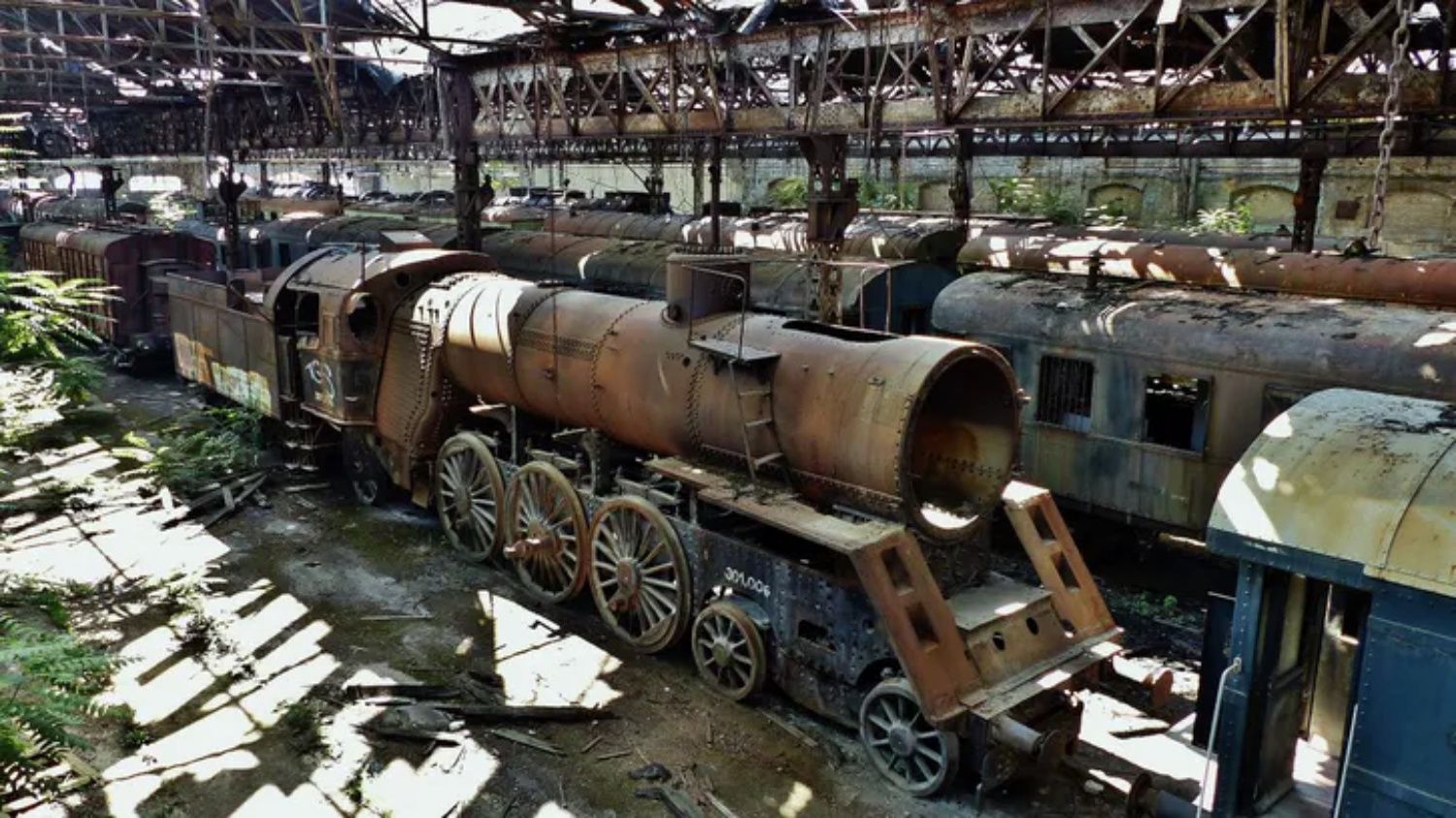 Ponad 100 pociągów stoi tu od dekad. Niektóre pamiętają wojnę