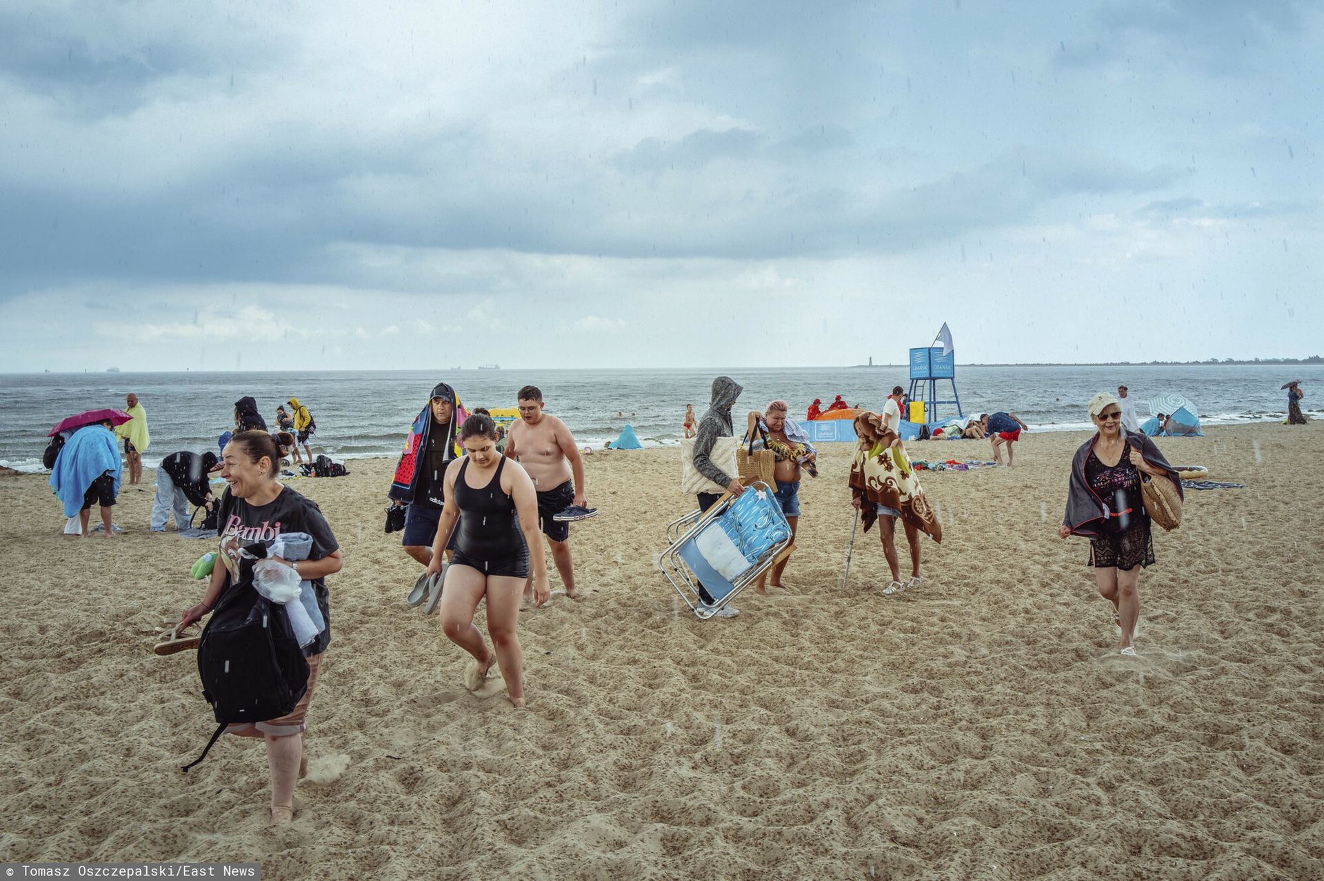 Dziki na plaży w Gdańsku. Popłoch wśród plażowiczów